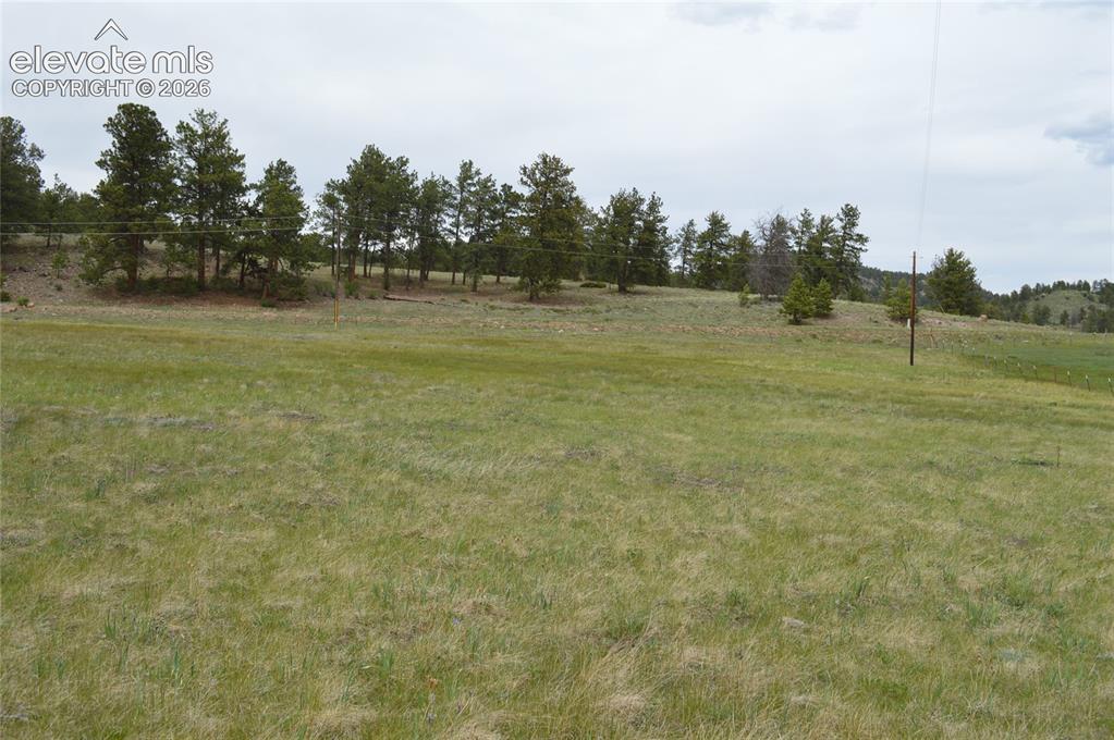 344 Valley Road Guffey, CO 80820 - Photo 6 of 15 a view of a field with trees