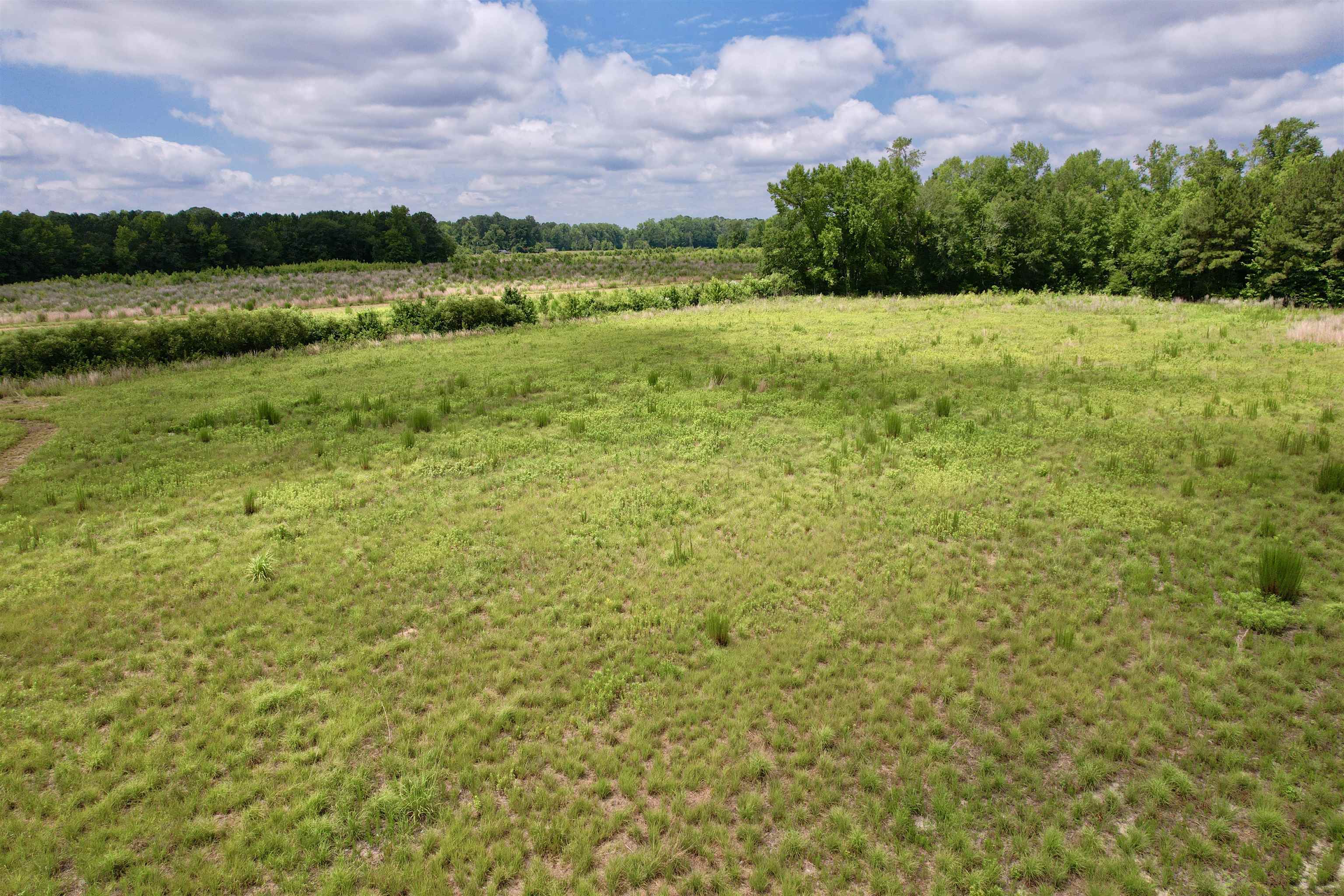 0 Powell Rd Green Green Sea, SC 29545 - Photo 67 of 72