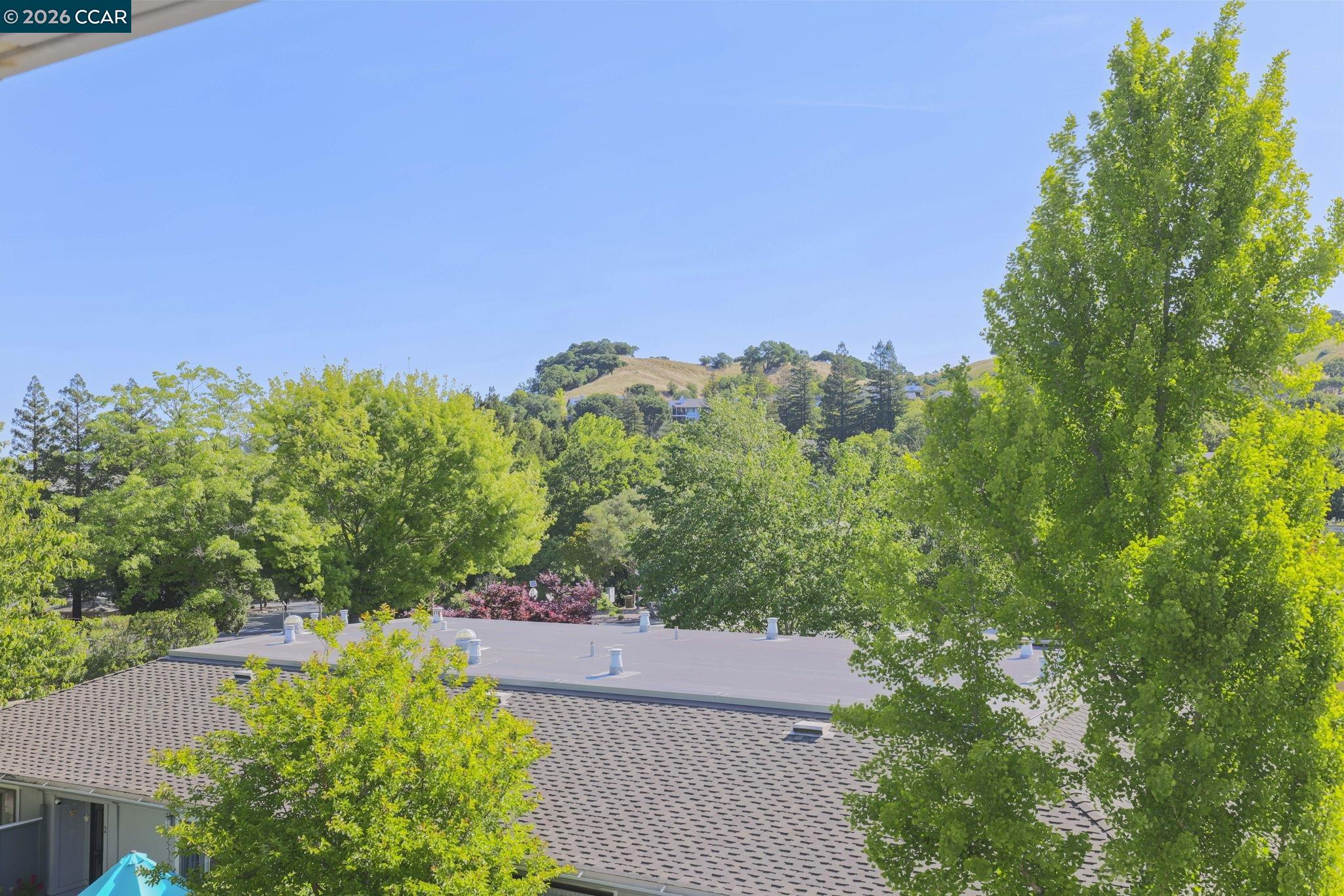 1117 Golden Rain Road, Unit 1 Walnut Creek, CA 94595 - Photo 18 of 44