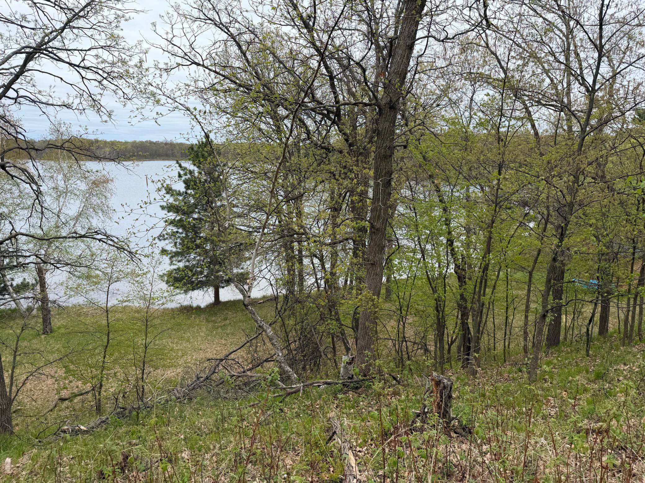 9235 Ossawinnamakee Road Pequot Lakes, MN 56472 - Photo 7 of 23