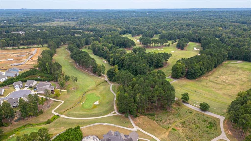 462 Manchester Lane Villa Rica, GA 30180 - Photo 11 of 13 an aerial view of residential houses with outdoor space and trees