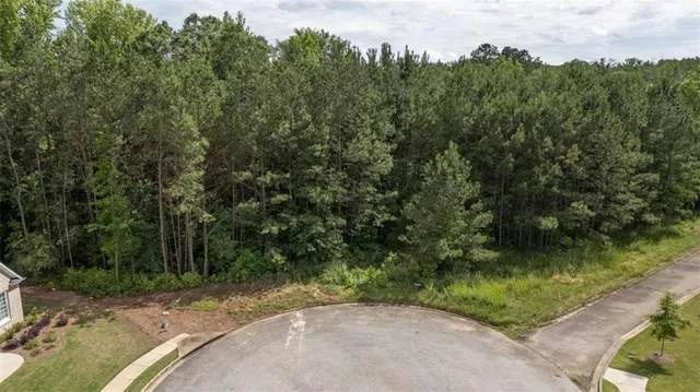 an aerial view of a yard with a tree