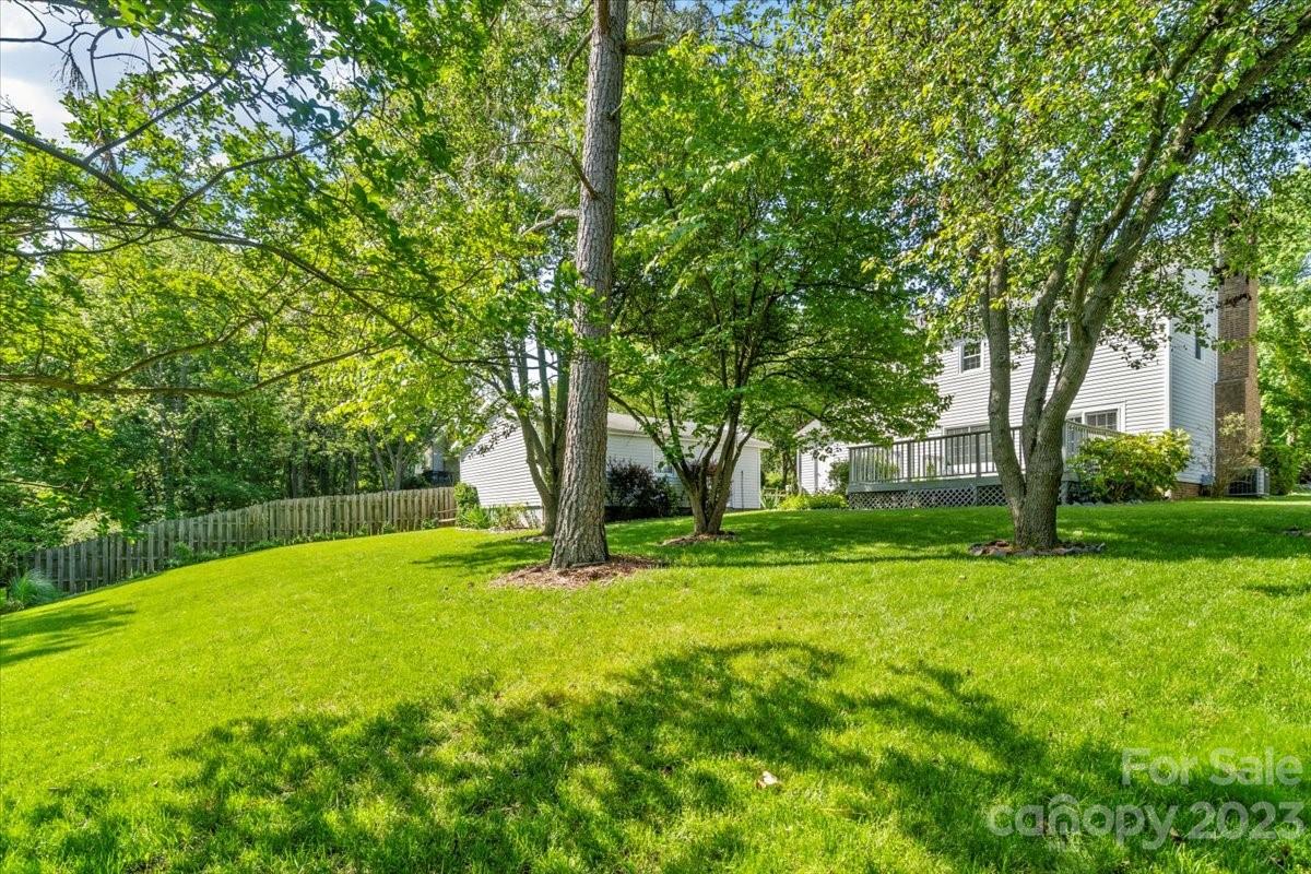 12112 Painted Tree Road Charlotte, NC 28226 - Photo 39 of 41 a view of a backyard with large trees
