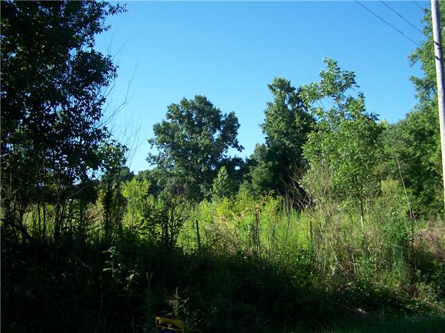 0 Pleasant Ridge Road Goodspring, TN 38460 - Photo 1 of 6 a backyard of a house with lots of green space