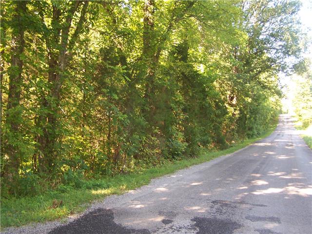 0 Pleasant Ridge Road Goodspring, TN 38460 - Photo 3 of 6 a view of a yard with a trees