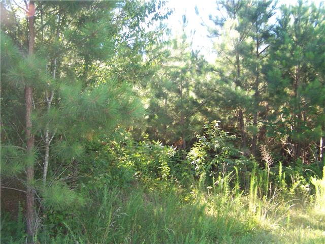0 Pleasant Ridge Road Goodspring, TN 38460 - Photo 6 of 6 a view of a yard