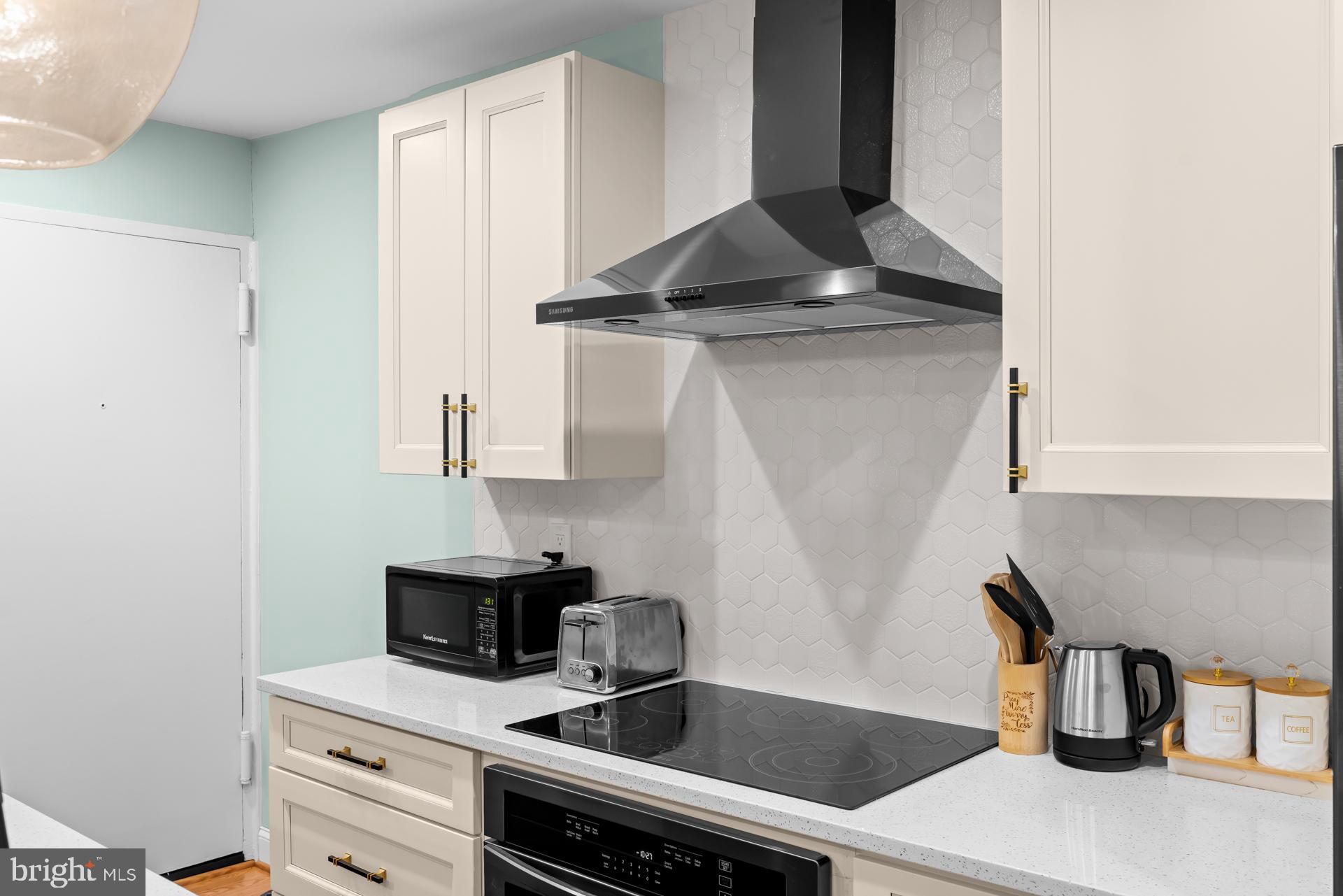 9820 Georgia Avenue, Unit 21302 Silver Spring, MD 20902 - Photo 10 of 24 Modern kitchen with sleek design elements.