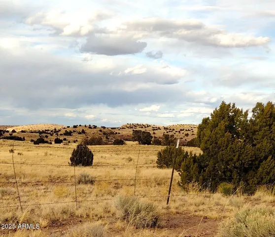 $107,900 | Lot 95 River Springs Ranch, Unit 95, St. Johns, AZ 85936