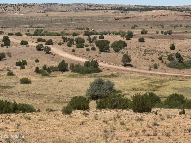 a view of a yard with trees