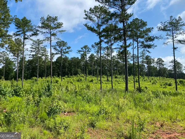 $146,900 | Lot 3 Giles Road, Forsyth, GA 31029
