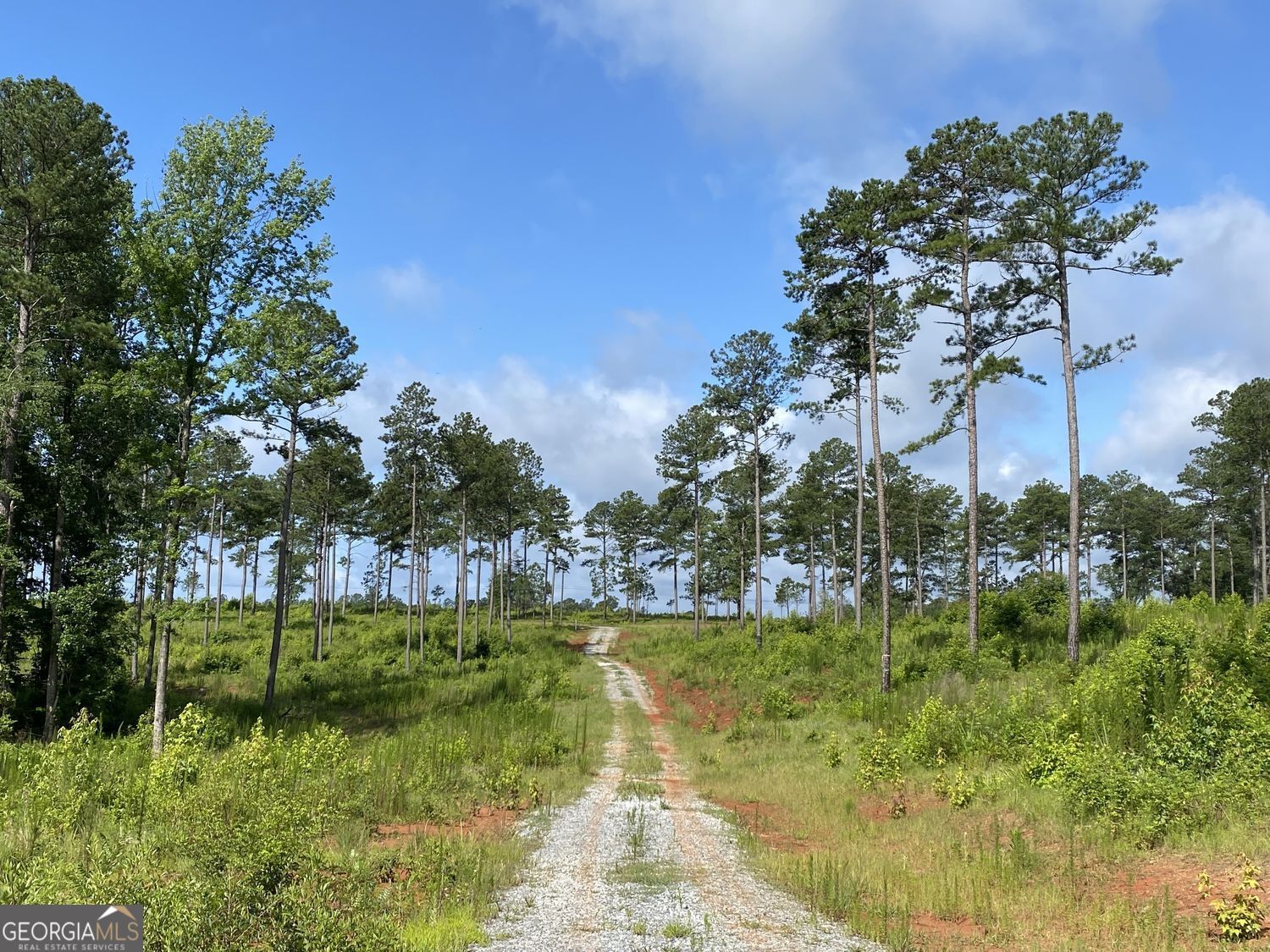 Lot 3 Giles Road Forsyth, GA 31029 - Photo 3 of 5 a view of a golf course with a lake