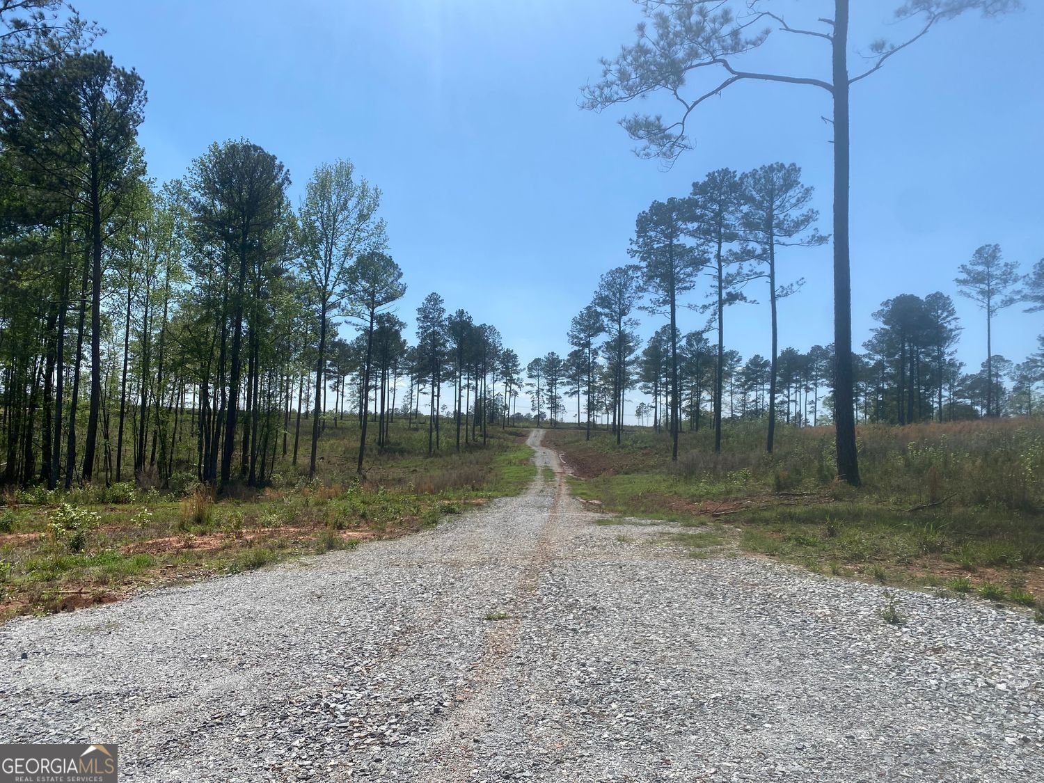 Lot 3 Giles Road Forsyth, GA 31029 - Photo 5 of 5 a view of outdoor space and lake view