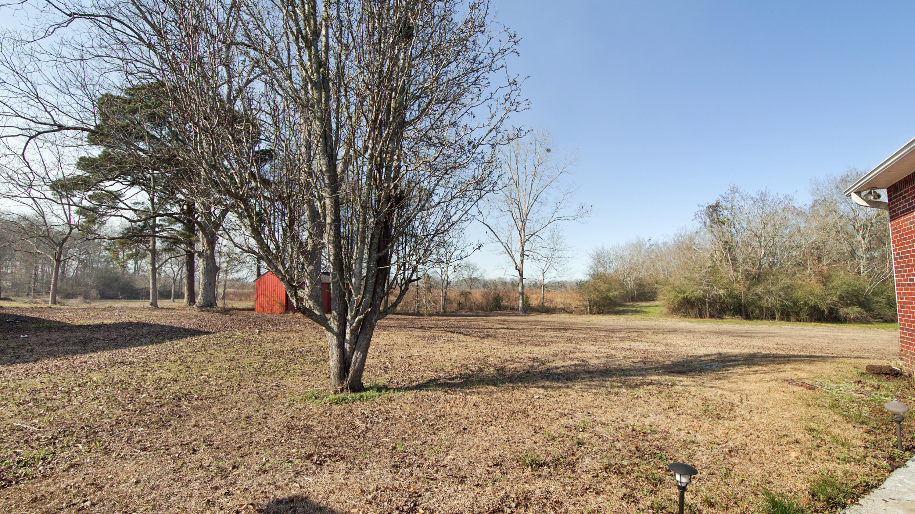 1333 Parrish Road Florala, AL 36442 - Photo 37 of 48 a view of dirt yard with a large tree