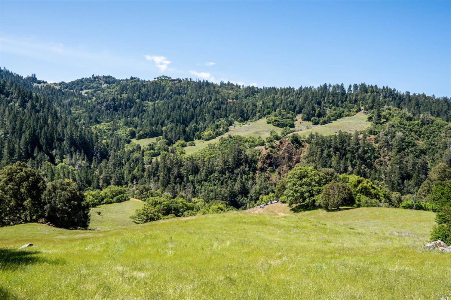 0 Orr Springs Road Ukiah, CA 95482 - Photo 1 of 1 Gallery Image 1