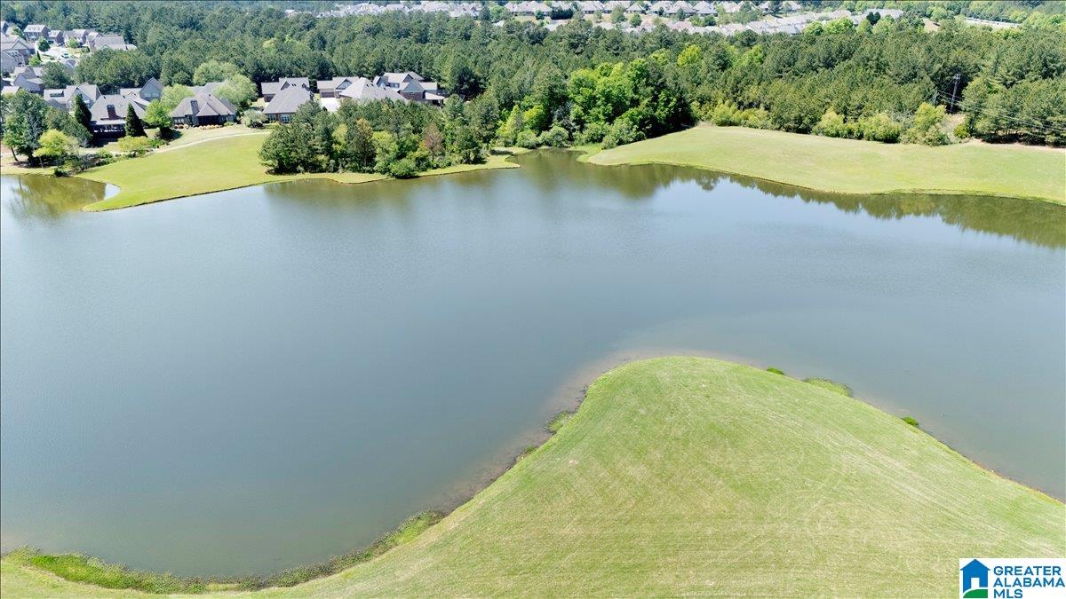 1038 Edgewater Lane Chelsea, AL 35043 - Photo 47 of 66