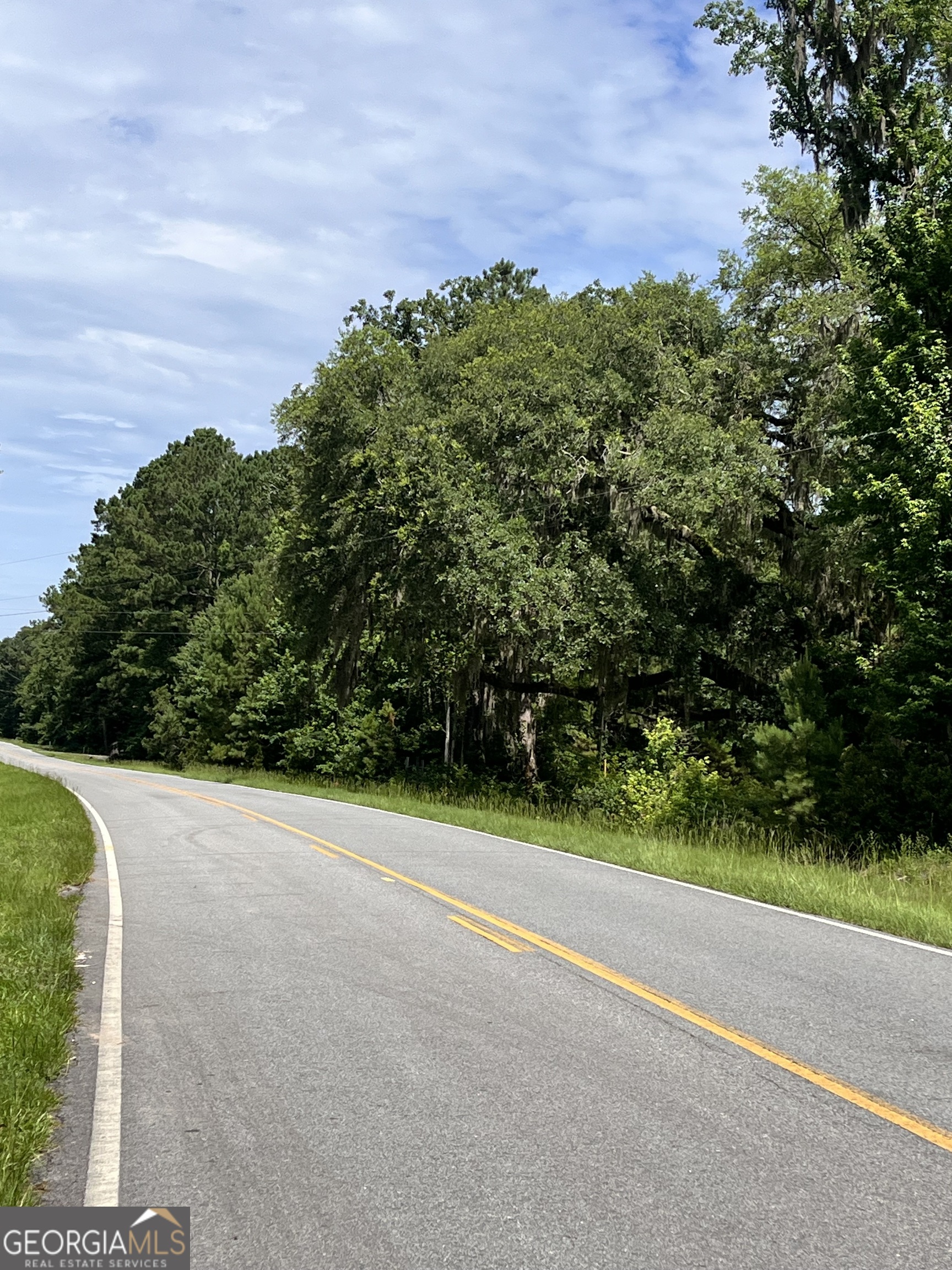 a view of a garden with an outdoor space