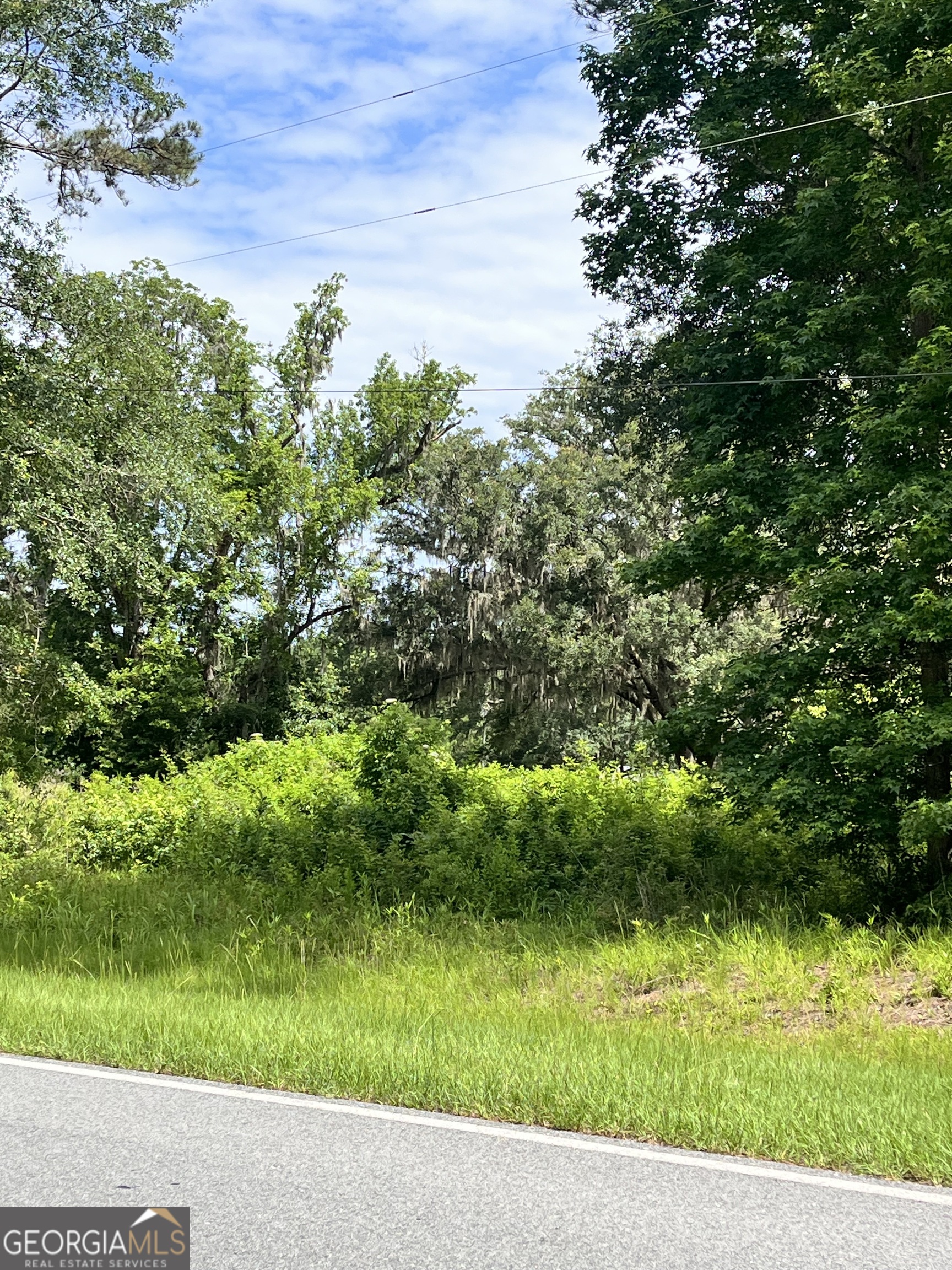 0 Sandy Run Road Riceboro, GA 31323 - Photo 2 of 7