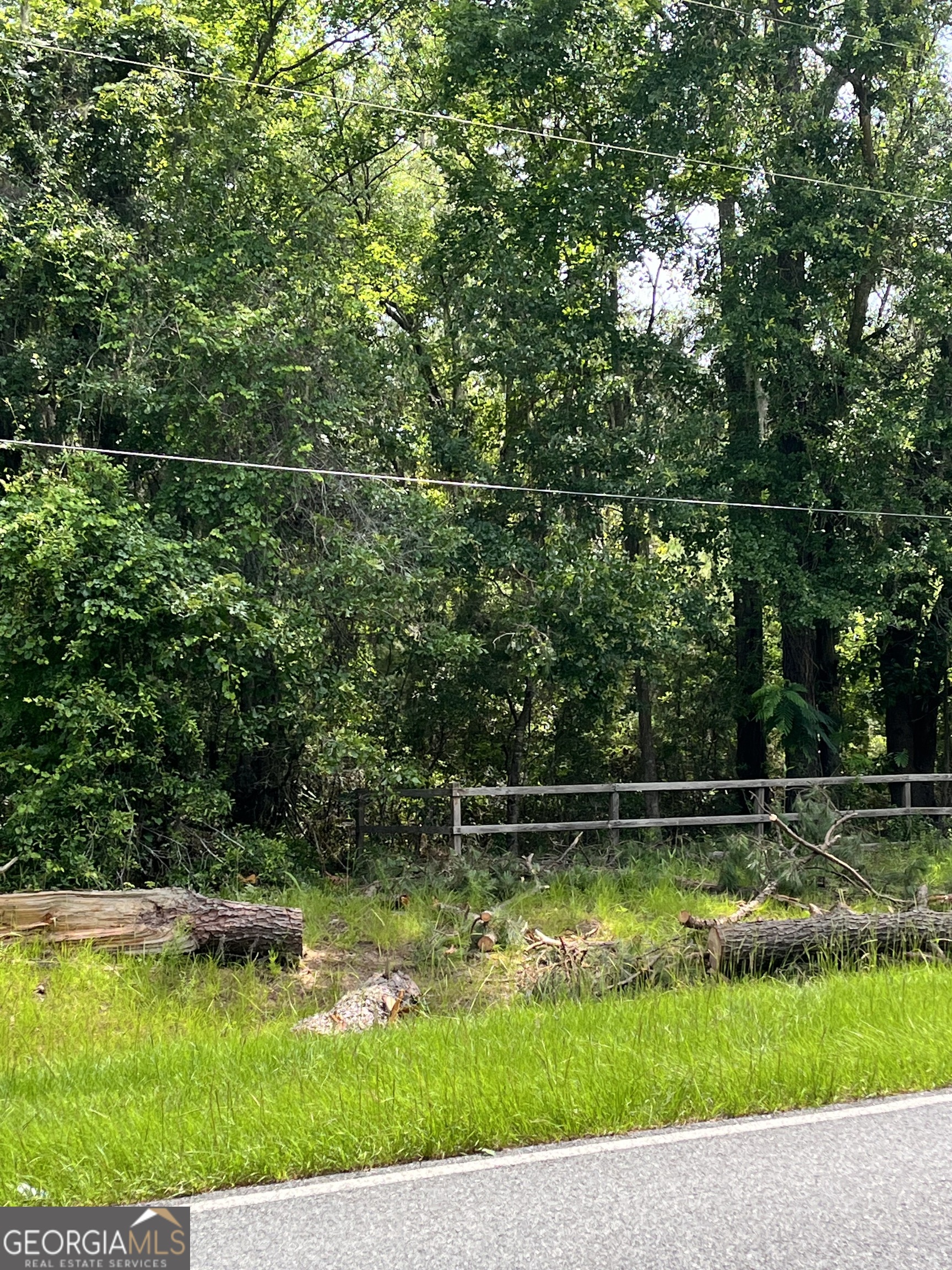 0 Sandy Run Road Riceboro, GA 31323 - Photo 4 of 7