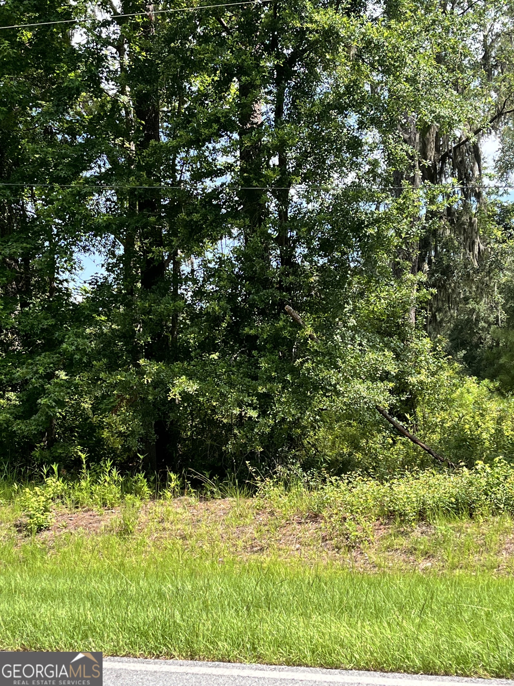 0 Sandy Run Road Riceboro, GA 31323 - Photo 5 of 7