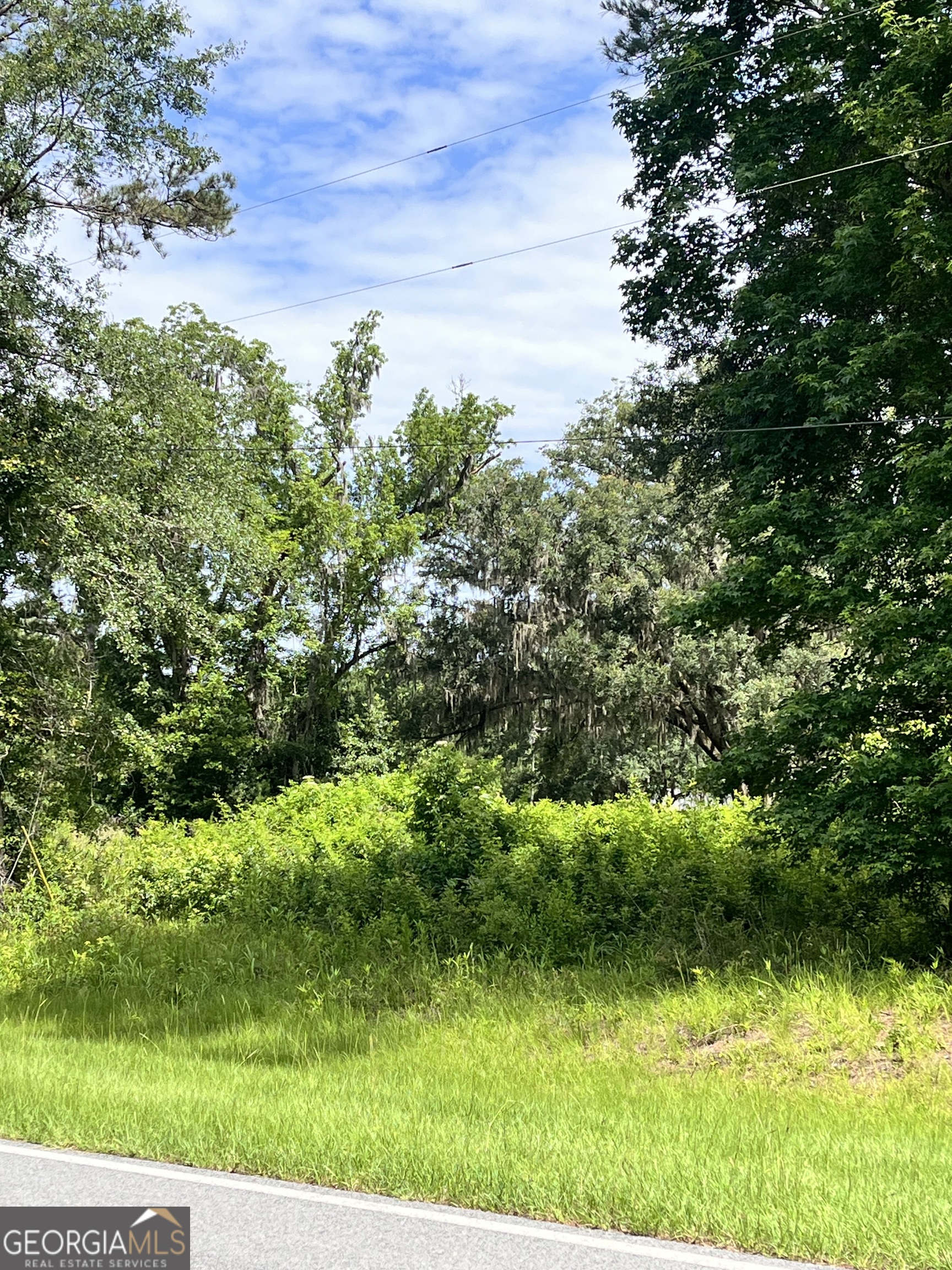 0 Sandy Run Road Riceboro, GA 31323 - Photo 6 of 7