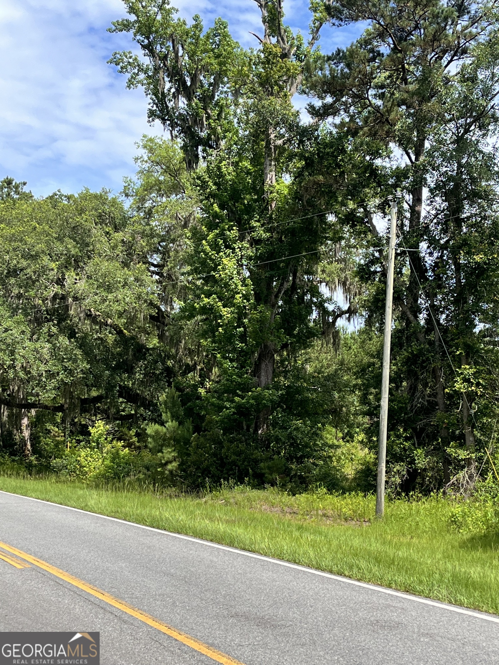 0 Sandy Run Road Riceboro, GA 31323 - Photo 7 of 7