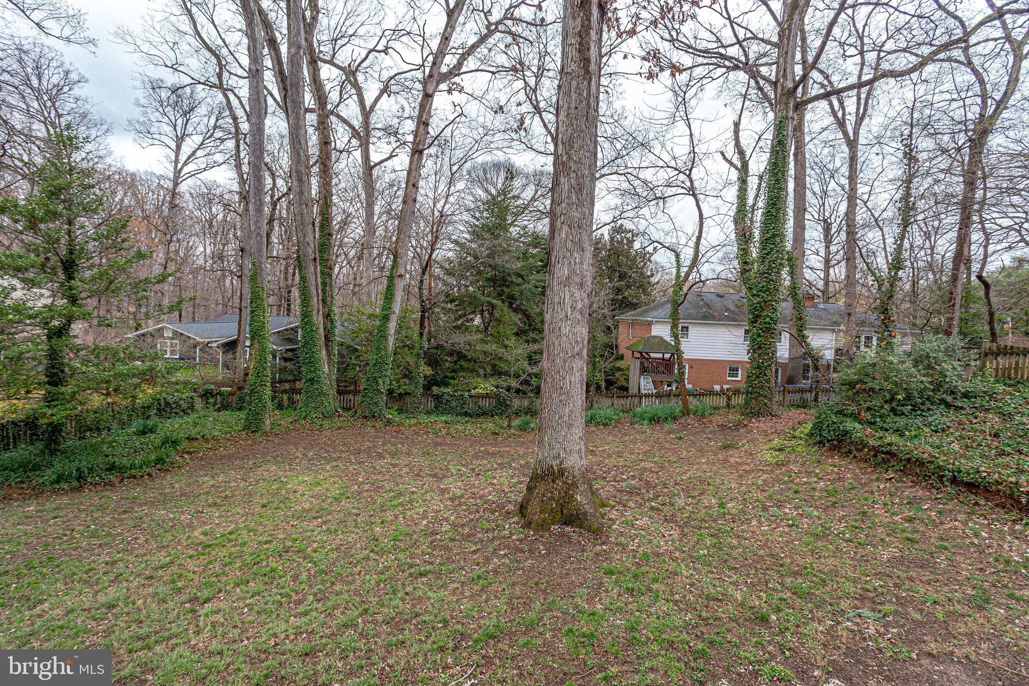 7033 Coventry Road Alexandria, VA 22306 - Photo 55 of 79 Gallery Image 55