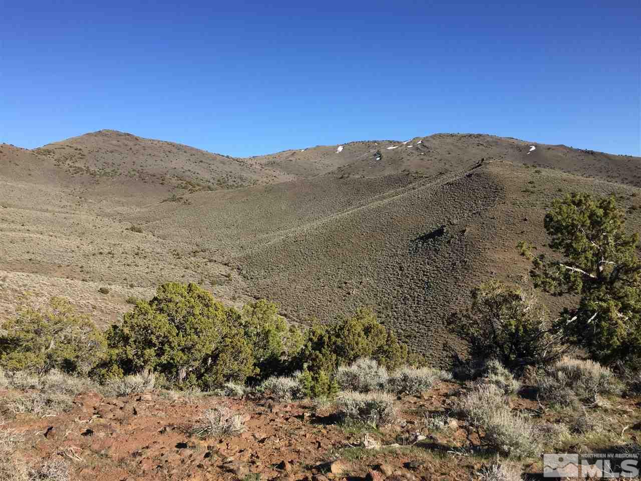 0 Quaking Aspen Reno, NV 89510 - Photo 1 of 25 a view of mountain and trees