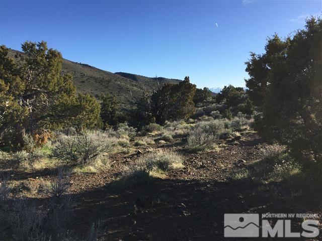 0 Quaking Aspen Reno, NV 89510 - Photo 12 of 25 a view of a lot of trees in a field