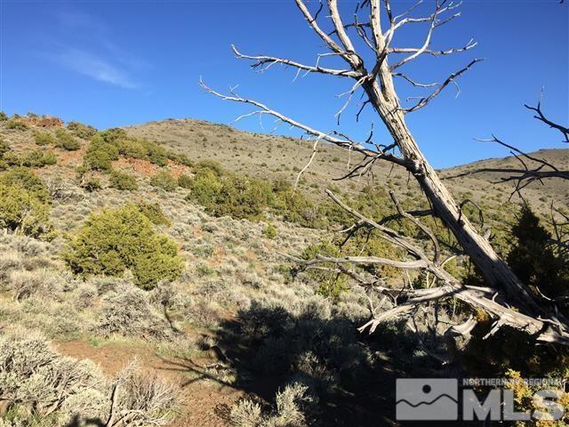 0 Quaking Aspen Reno, NV 89510 - Photo 14 of 25 a view of a backyard of the house