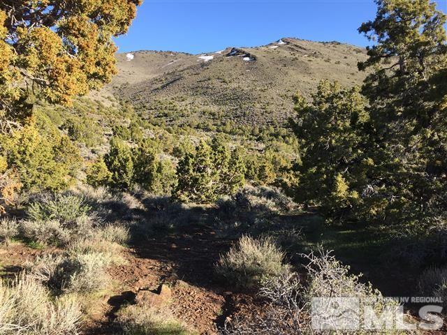 0 Quaking Aspen Reno, NV 89510 - Photo 15 of 25 a view of a lake with a mountain