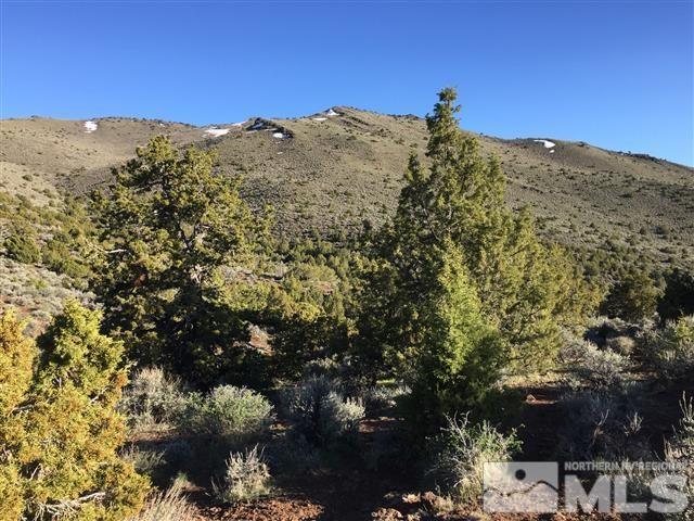 0 Quaking Aspen Reno, NV 89510 - Photo 16 of 25