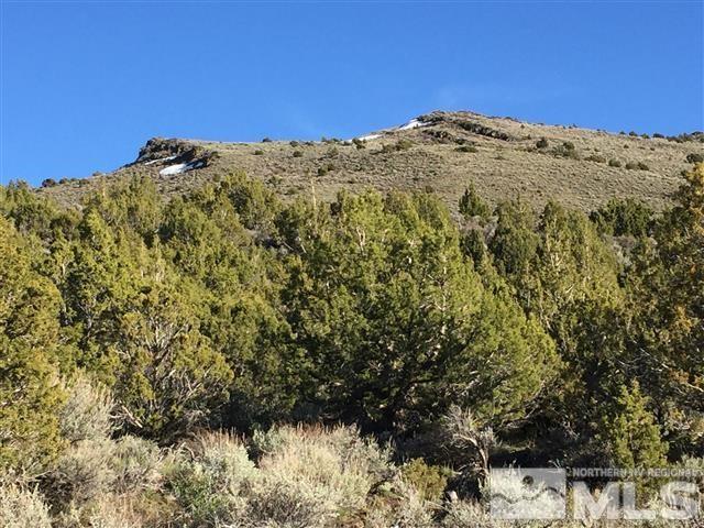 0 Quaking Aspen Reno, NV 89510 - Photo 18 of 25 a view of a large tree