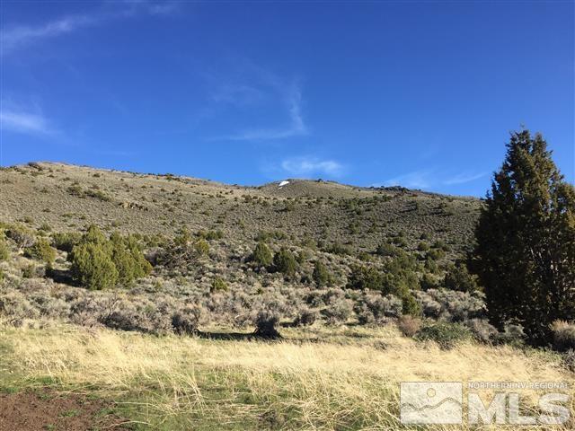 0 Quaking Aspen Reno, NV 89510 - Photo 19 of 25