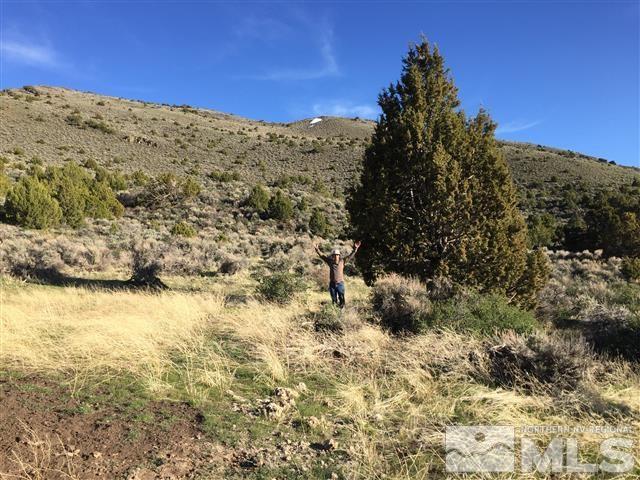 0 Quaking Aspen Reno, NV 89510 - Photo 21 of 25 a view of a dry yard with mountains in the background