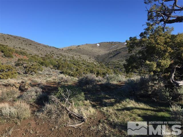 0 Quaking Aspen Reno, NV 89510 - Photo 8 of 25 a view of a mountain with a yard