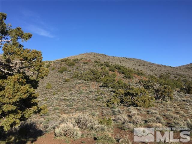 0 Quaking Aspen Reno, NV 89510 - Photo 9 of 25