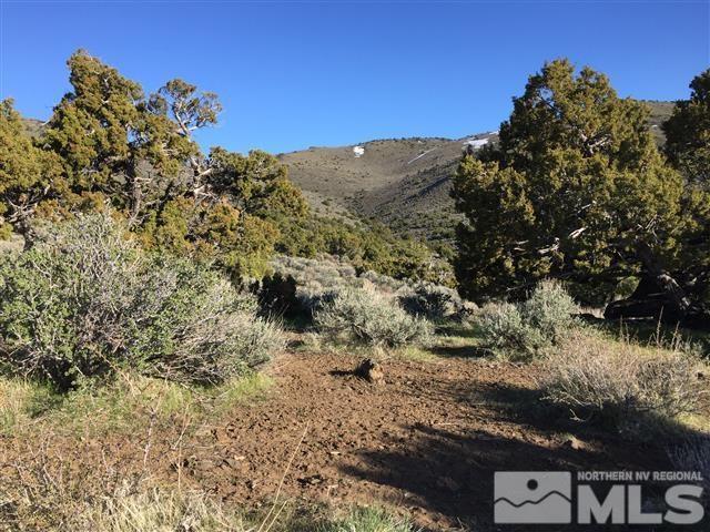 0 Quaking Aspen Reno, NV 89510 - Photo 10 of 25 a view of a bunch of trees and bushes