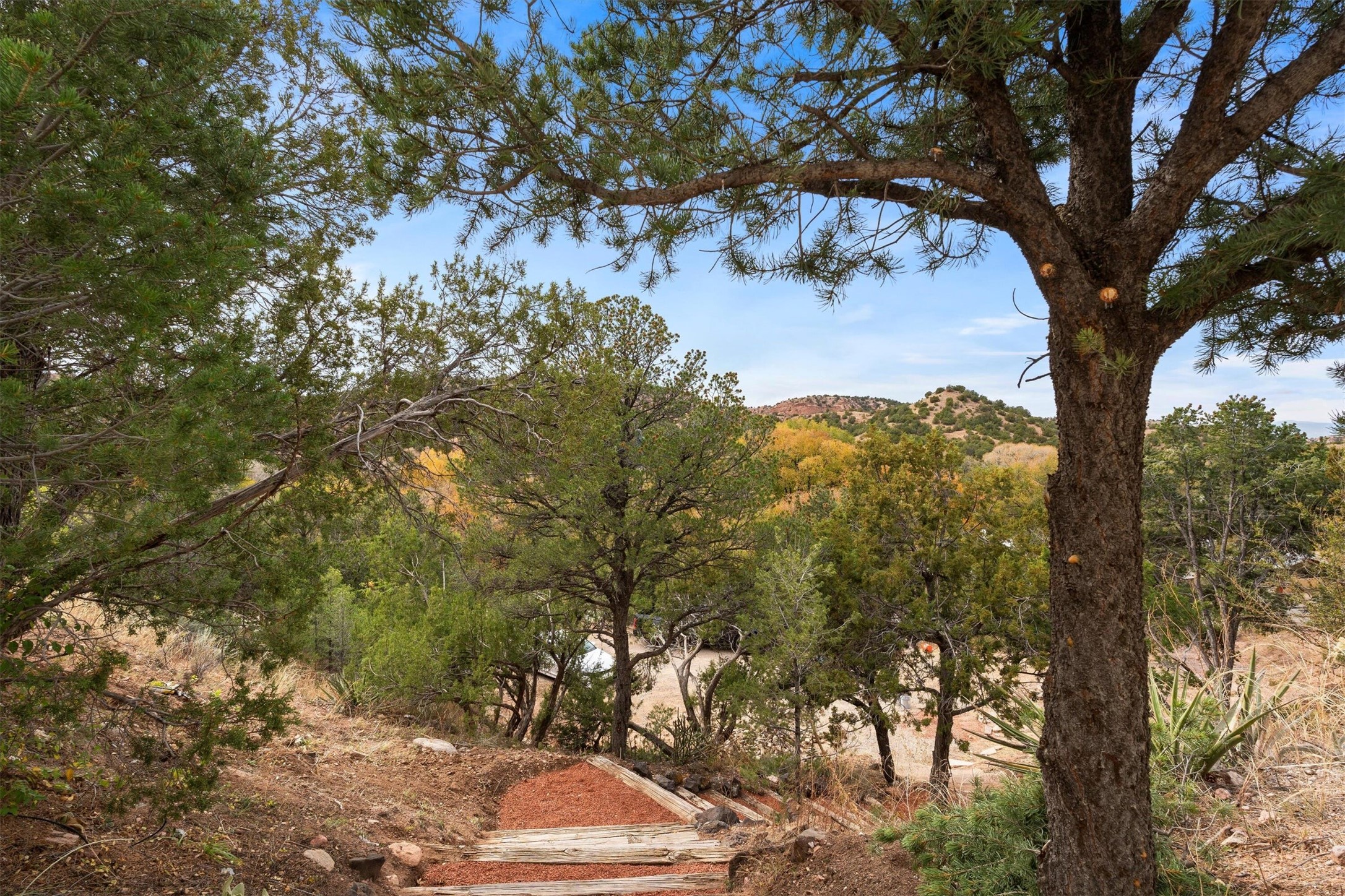 1339 Bishops Lodge Road Santa Fe, NM 87506 - Photo 52 of 59