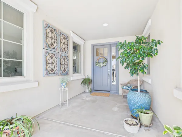 a potted plant sitting on a wooden floor