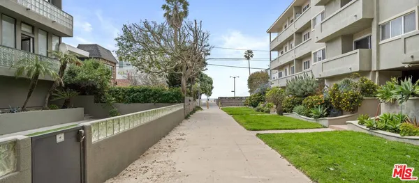 a view of a garden with pathway