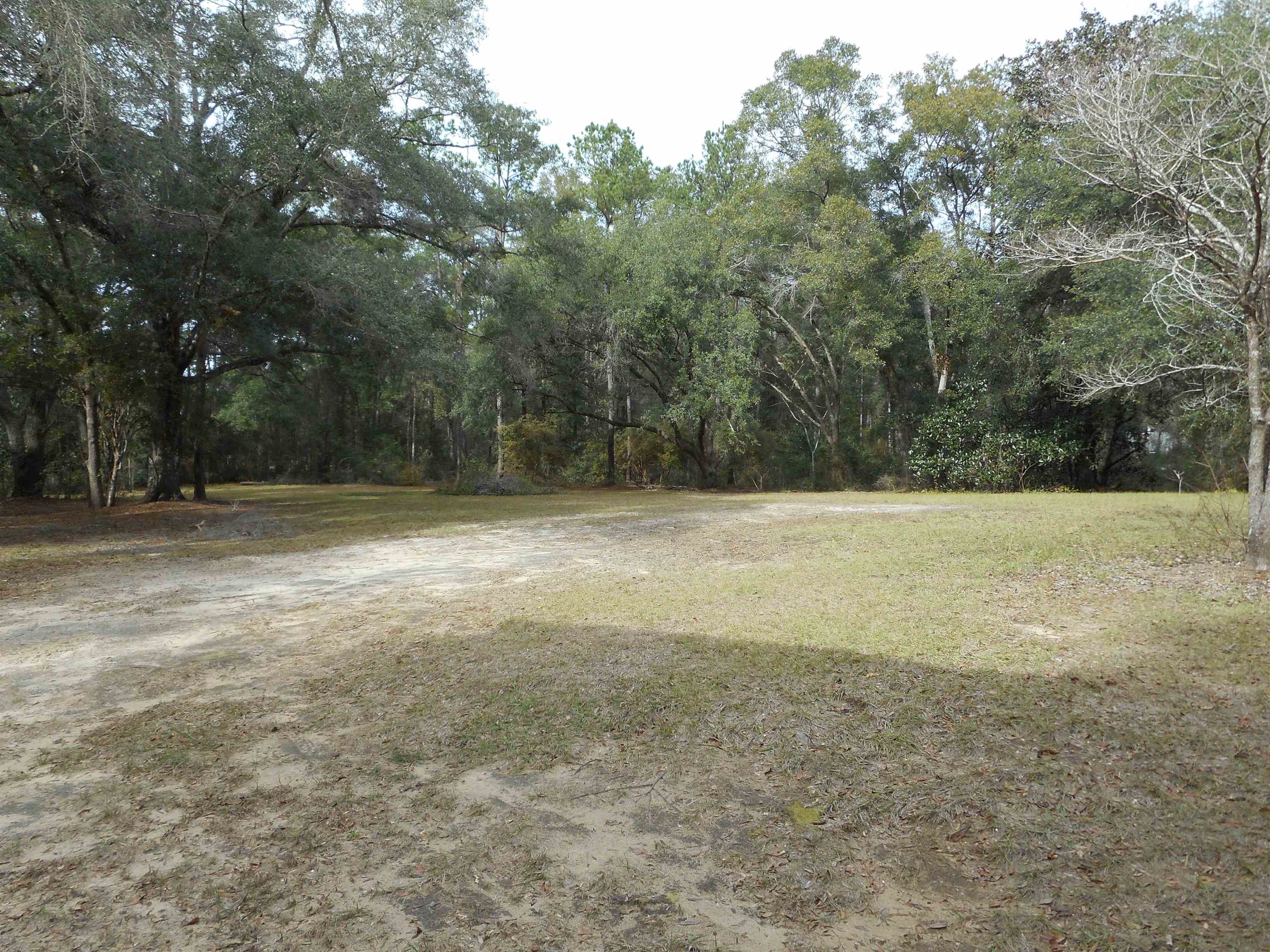 6060 Williams Road Tallahassee, FL 32311 - Photo 12 of 18 Gallery Image 12