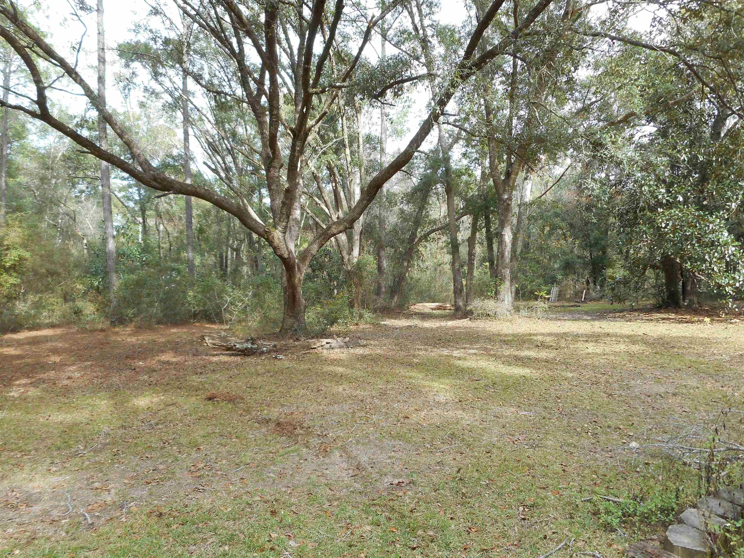 6060 Williams Road Tallahassee, FL 32311 - Photo 13 of 18 Gallery Image 13