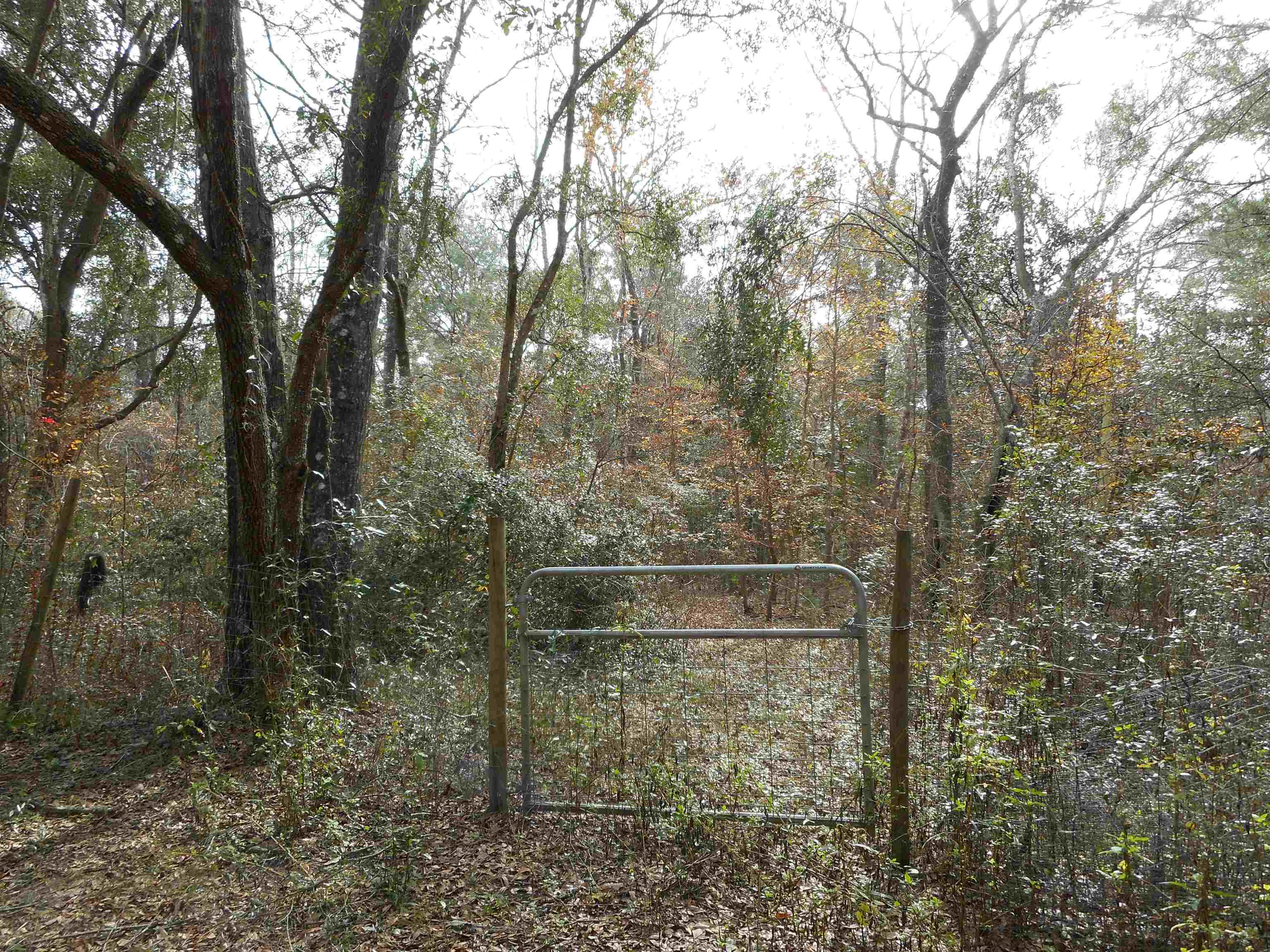 6060 Williams Road Tallahassee, FL 32311 - Photo 17 of 18 Gallery Image 17