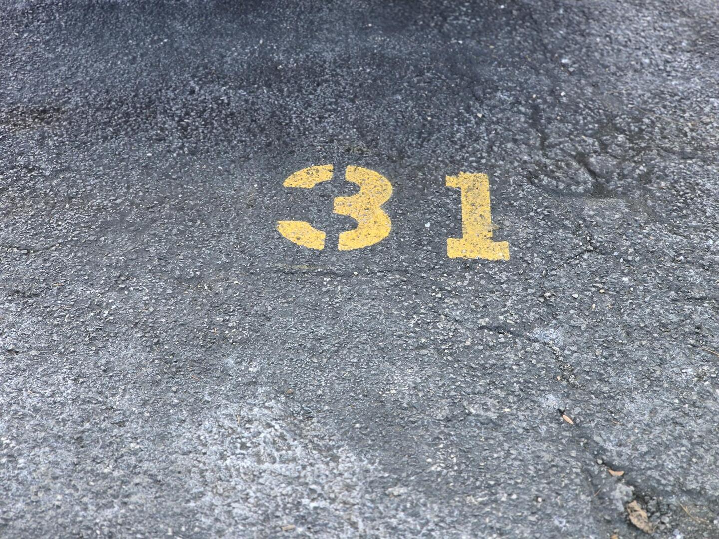 6400 North Ridge Boulevard, Unit 404 Chicago, IL 60626 - Photo 16 of 16 a view of a yard