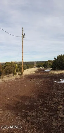$150,000 | 43 North County Road, Unit 29, Concho, AZ 85924