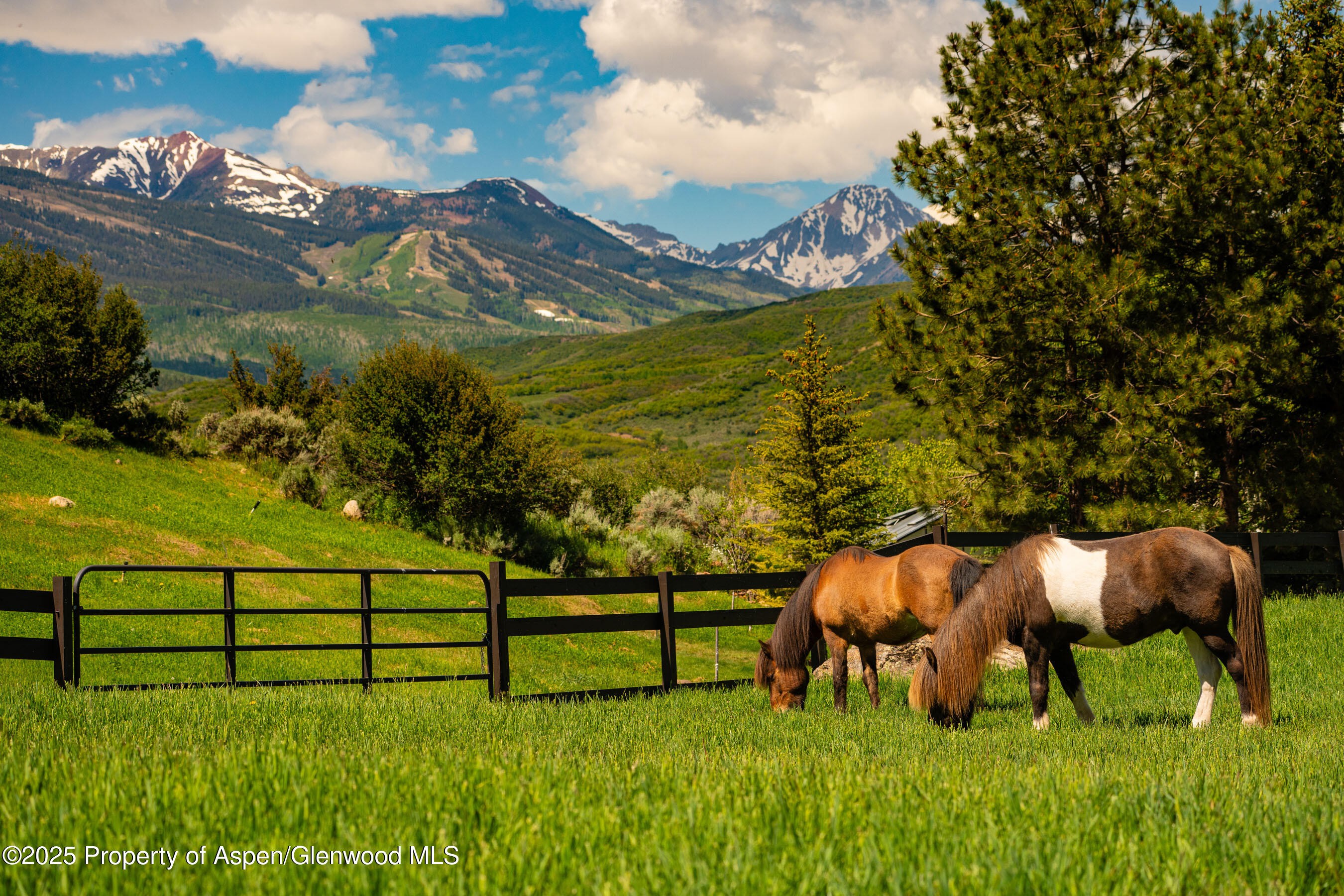 26 Bunker Loop Aspen, CO 81612 - Photo 3 of 103 26BunkerLp_DASH142