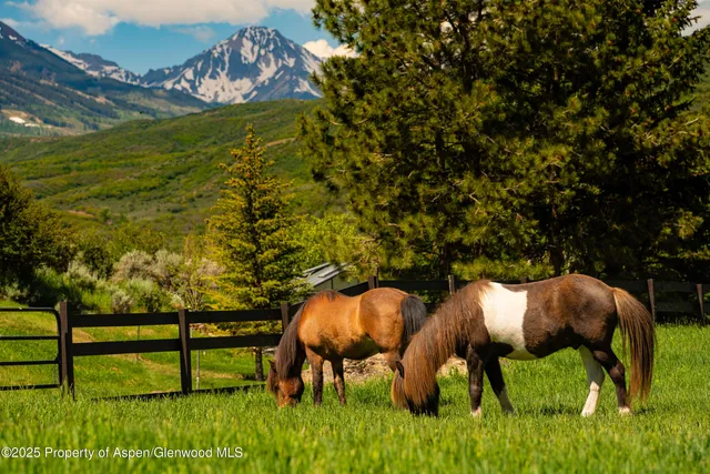 $11,500,000 | 26 Bunker Loop, Aspen, CO 81612