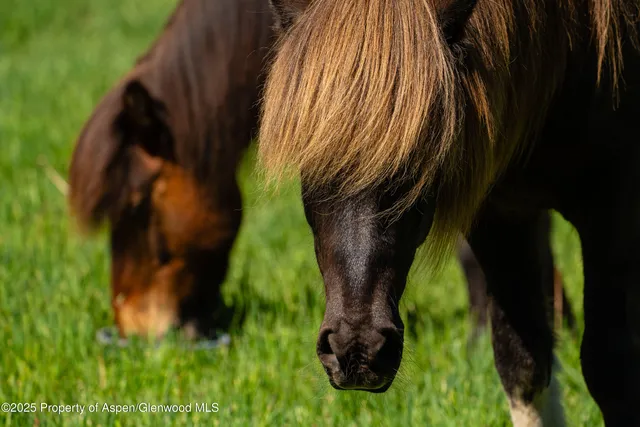 $11,500,000 | 26 Bunker Loop, Aspen, CO 81612