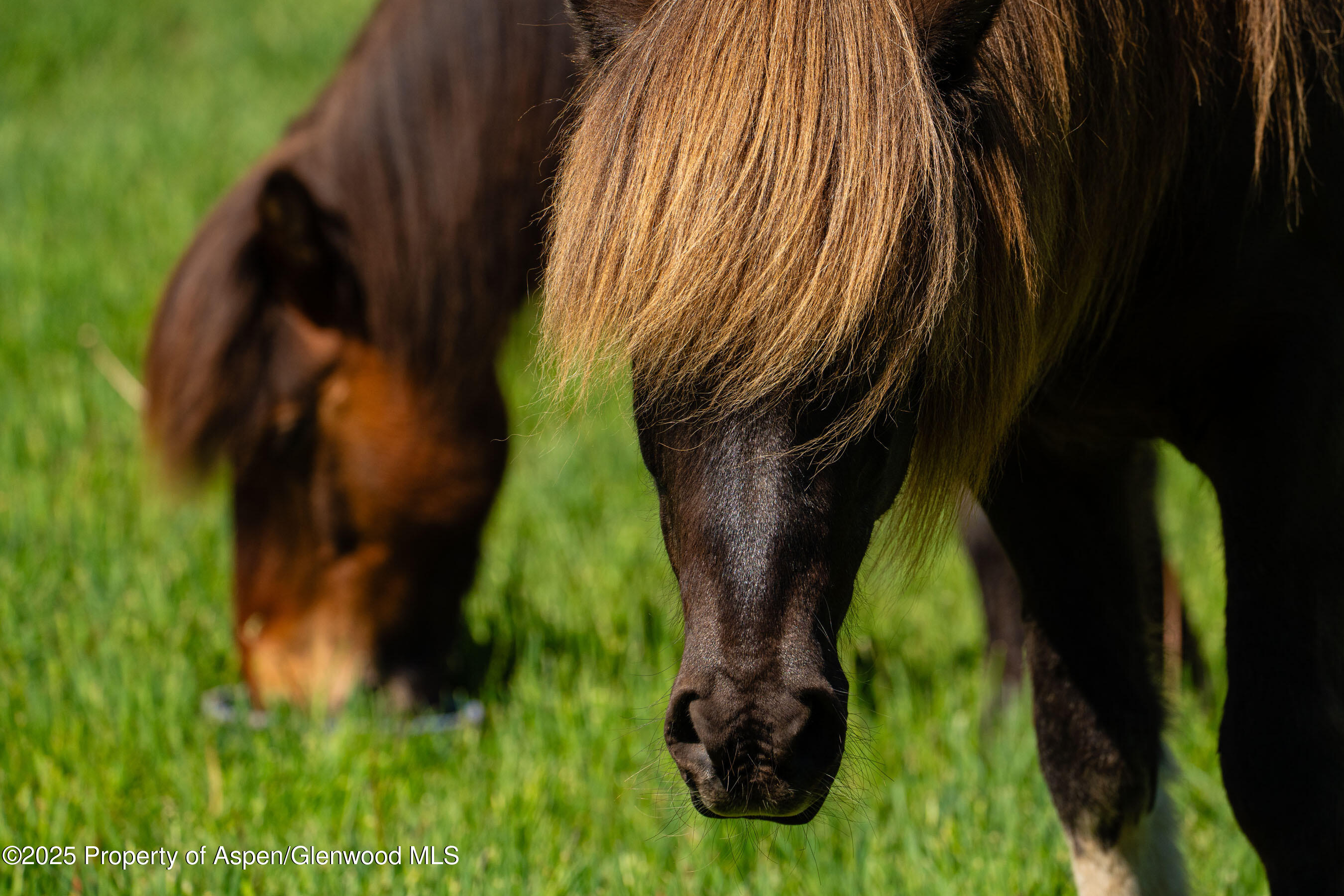 26 Bunker Loop Aspen, CO 81612 - Photo 69 of 103 26BunkerLp_DASH153