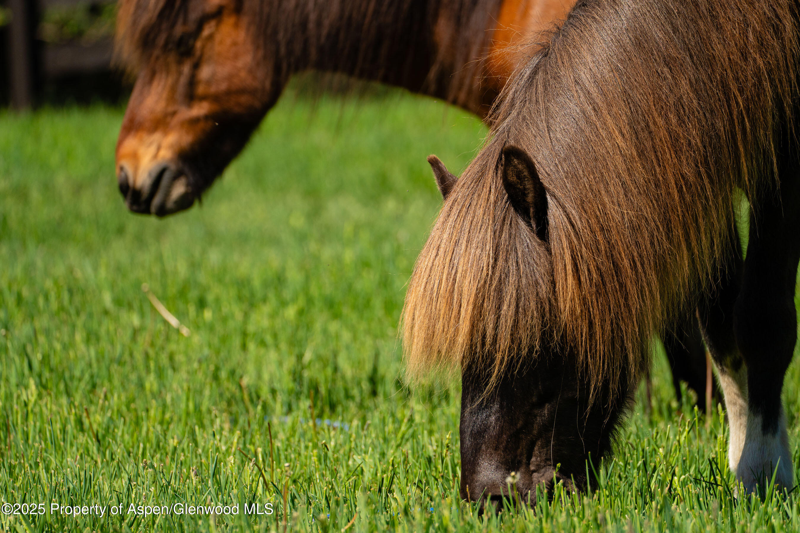 26 Bunker Loop Aspen, CO 81612 - Photo 97 of 103 26BunkerLp_DASH154